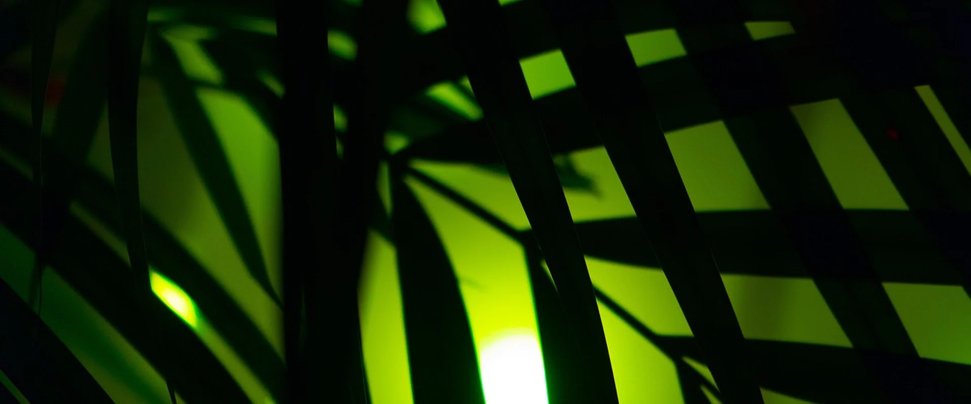 壹号娱乐娱乐平台